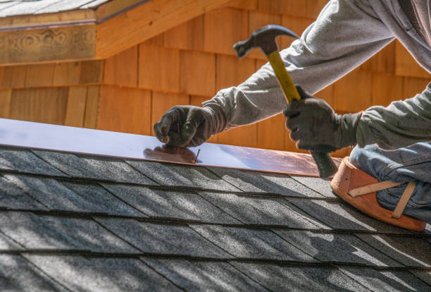 Best Solar Panel Roofing Installation  in New Market, AL