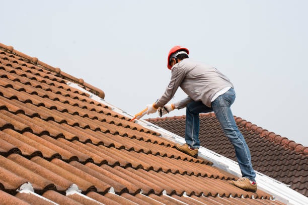 Best Gutter Installation and Repair  in New Market, AL