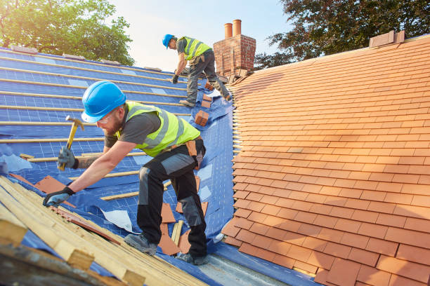Best Roof Insulation Installation  in New Market, AL